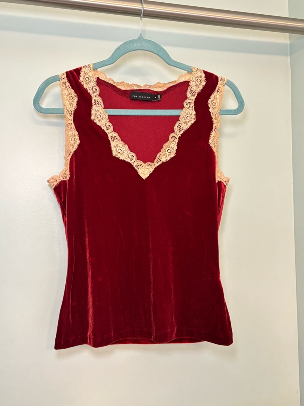 The Limited Y2K Red Velvet Sleeveless Top